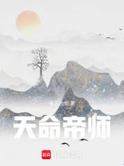 天命帝师