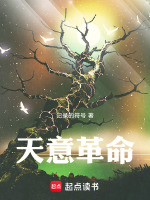 天意革命在线阅读
