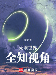 全知视角