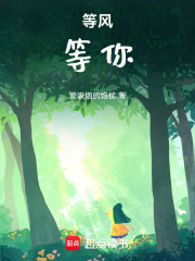 等风，等你在线阅读