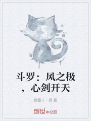 斗罗：风之极，心剑开天