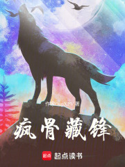 疯骨藏锋在线阅读