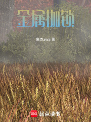 金属枷锁在线阅读