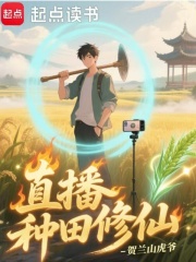 直播种田修仙