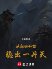 从车夫开始稳出一片天在线阅读