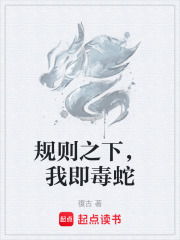 规则之下