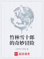 竹林雪十郎的奇妙冒险在线阅读