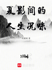夏影间的人生况味在线阅读