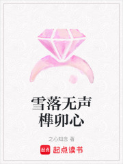 雪落无声榫卯心在线阅读