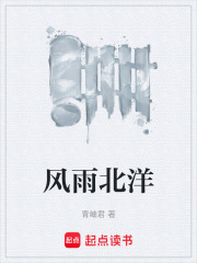 风雨北洋在线阅读