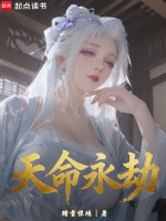 天命永劫封面