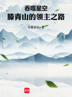 吞噬星空：滕青山的领主之路封面