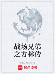 战场兄弟之方林传