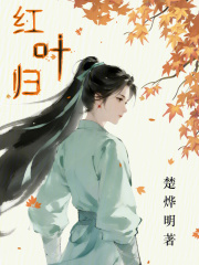 红叶归在线阅读