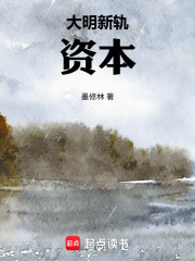 大明新轨：资本，制度，霸权在线阅读