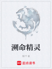 溯命精灵在线阅读