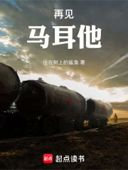 再见，马耳他！在线阅读