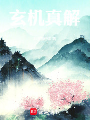 玄机真解在线阅读