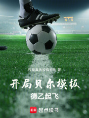 开局贝尔模板，德乙起飞在线阅读