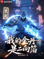 我的金丹是二向箔