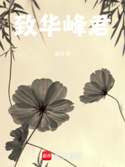 致云瞻君在线阅读