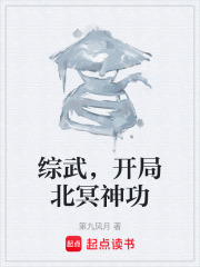 综武，开局北冥神功在线阅读