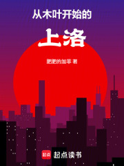 从木叶开始的上洛