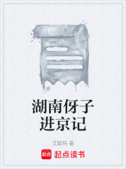 湖南伢子进京记在线阅读