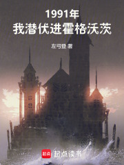 1991年，我潜伏进霍格沃茨在线阅读
