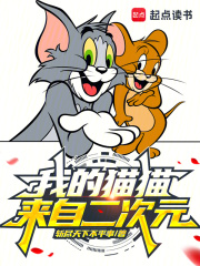 我的猫猫来自二次元