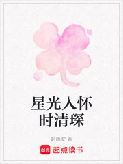 星光入怀时清琛在线阅读