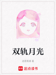 双轨月光在线阅读