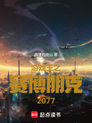 赛博朋克20