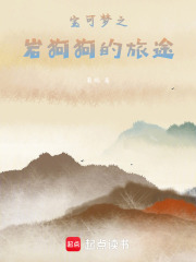 宝可梦之岩狗狗的旅途在线阅读