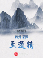 药笼深探至道精封面