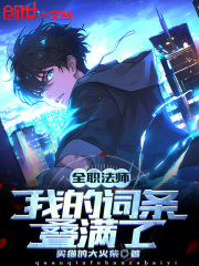 全职法师：我的词条叠满了！