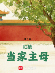 红楼当家主母在线阅读