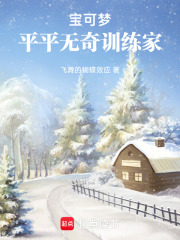 宝可梦：平平无奇训练家