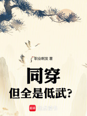 同穿，但全是低武？在线阅读