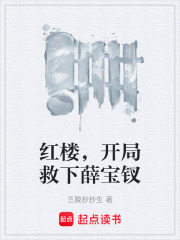 红楼：从接黛玉入京开始