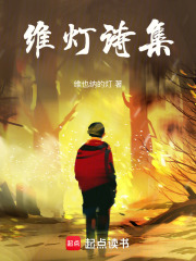 维灯诗集在线阅读