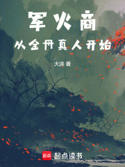 军火商：从金丹真人开始