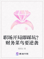 职场开局即踩坑？财务菜鸟要逆袭在线阅读