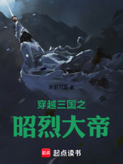 穿越三国之昭烈大帝在线阅读