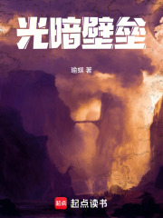光暗壁垒在线阅读