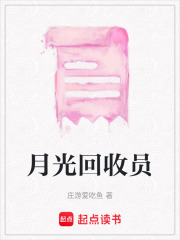 月光回收员