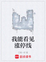 我能看见涨停线在线阅读