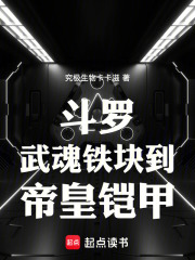斗罗：武魂铁块到终极帝皇铠甲在线阅读