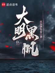大明黑帆在线阅读