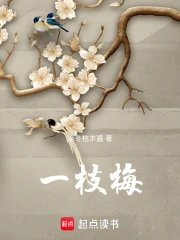 一枝梅小说作品大全_小说作者信息-起点中文网